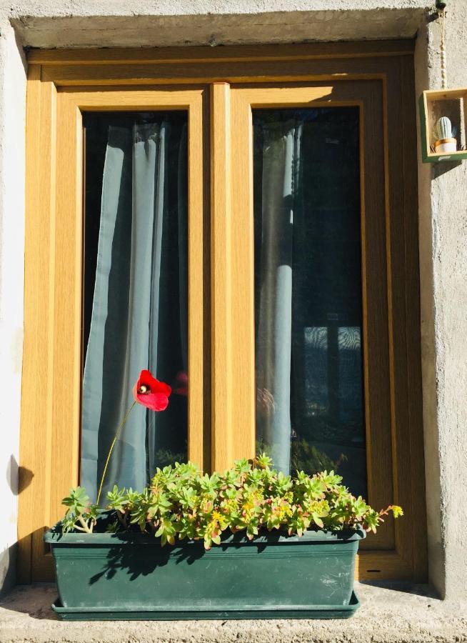 Ca Bossa Molina Holiday home Faggeto Lario